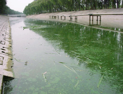 黑臭河道治理系統(tǒng)方案