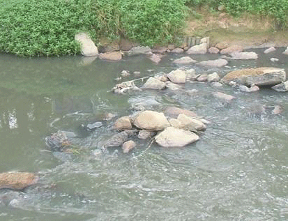 景觀水體、湖泊等生態(tài)修復(fù)方案